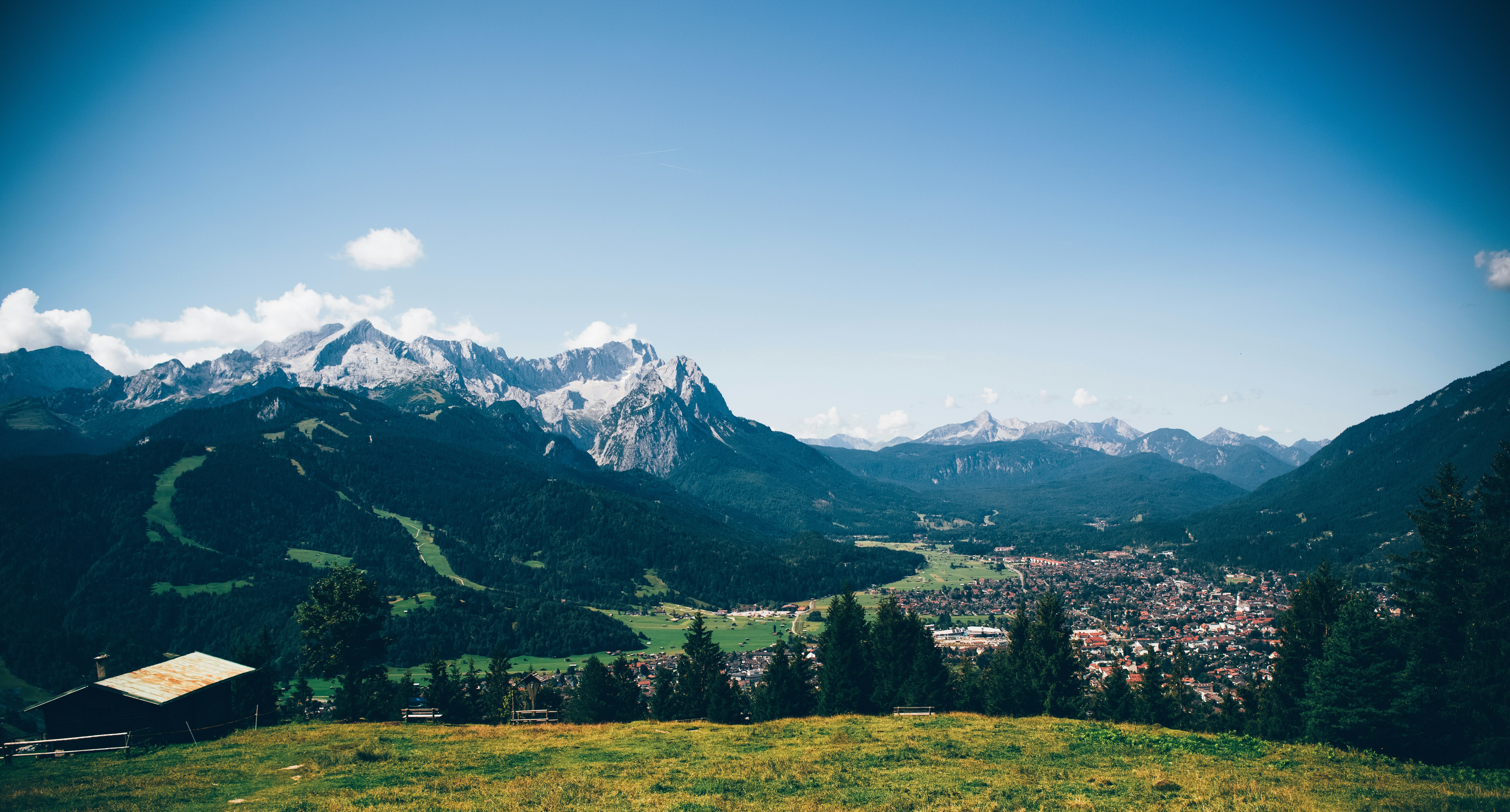 open field with trees near mountain